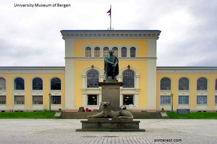 400 Benda Peninggalan Viking Dicuri dari Museum Norwegia