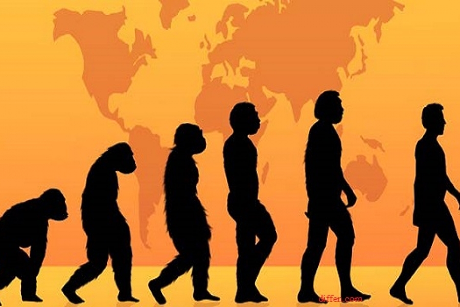 Arkeolog Bantah Teori Darwin, Moyang Manusia Bukan dari Kera