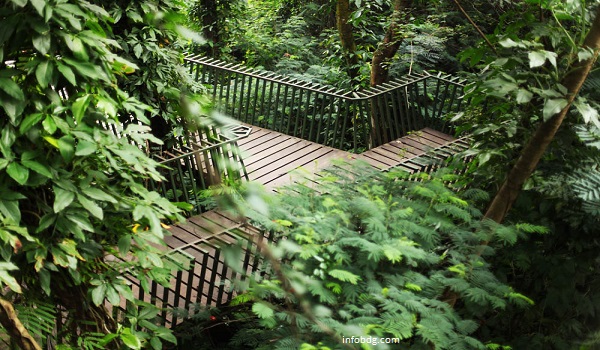 Bandung Forest Walk, destinasi wisata terbaru di Bandung