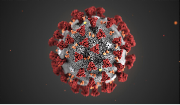 BPPT Deteksi 14 Jenis Virus Corona yang Mewabah di Indonesia