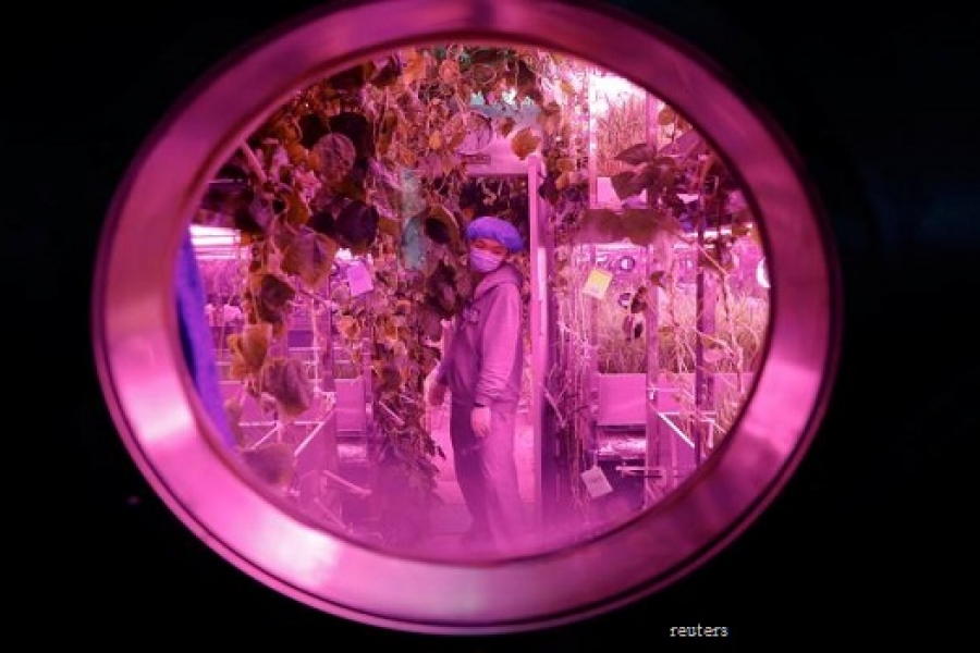 Empat Mahasiswa China Mencoba Hidup di Planet Lain