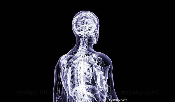 Ilmuwan Ciptakan Kamera yang Bisa Meneropong Organ Tubuh Manusia