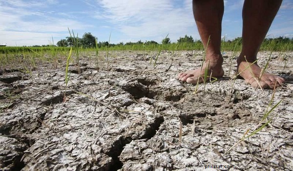 Ilmuwan Prediksi El Nino Terjadi Selama Tiga Bulan ke Depan