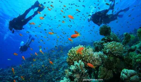 Indonesia Destinasi Selam Terbaik Dunia