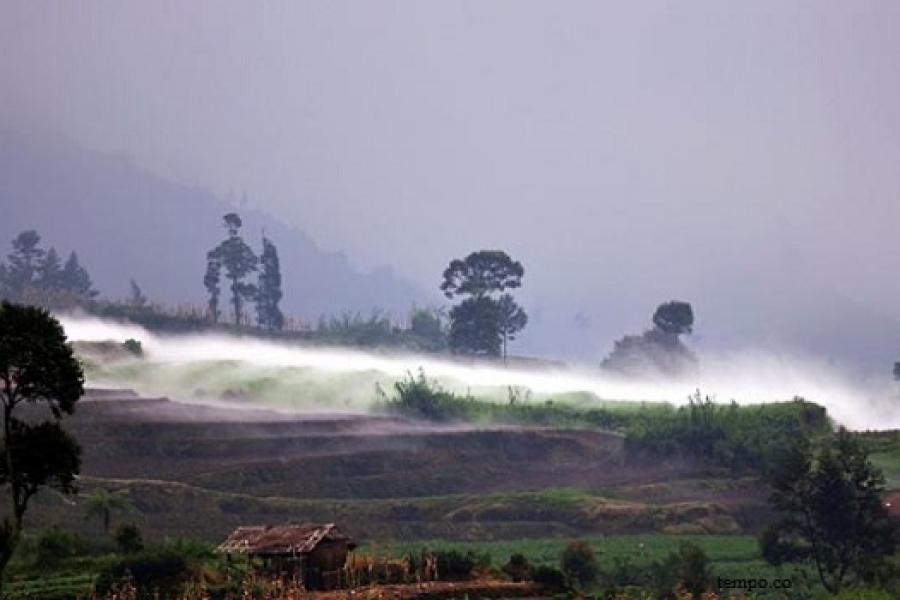 Kawah Sileri Dieng Meletus, Empat Orang Terluka
