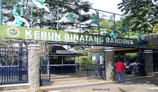 Kebun Binatang Bandung Kini Punya Zoo Educator