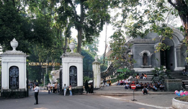 Kebun Raya Bogor Miliki Aplikasi Jelajah