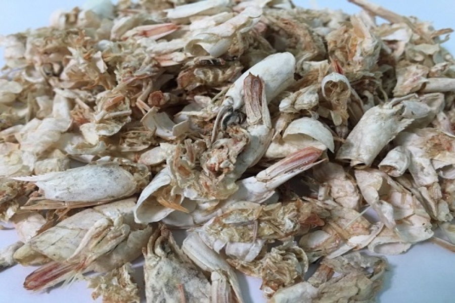 Mesir Kembangkan Kulit Udang jadi Plastik Ramah Lingkungan