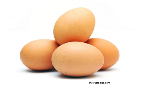 Peneliti Jepang Tumbuhkan Obat dalam Telur Ayam