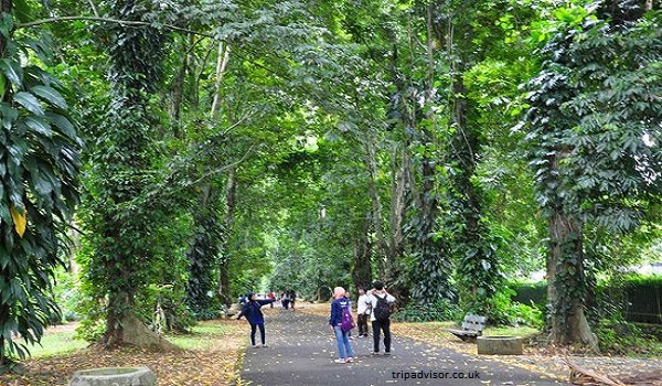 Tanam 1 Triliun Pohon Dinilai Bisa Tangkal Perubahan Iklim